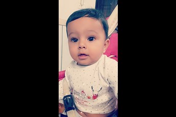بهراد 