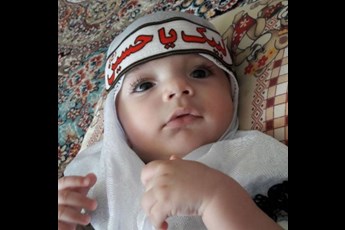 بردیا 