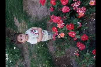 سانیا 