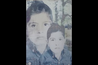 سیاوش گلی 