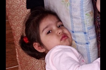 سوگل فل فلی 