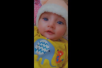پرنیا 