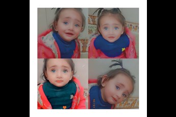 پرنیا 