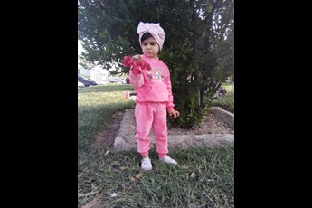 الیسا حمیدی 