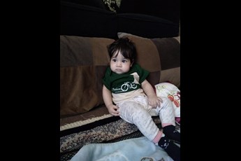 رادوین 
