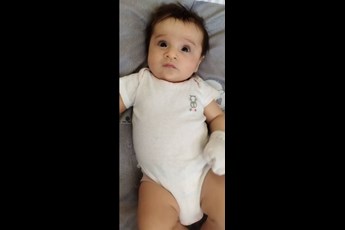 همراز 