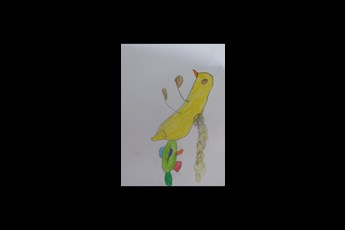 آیلین 