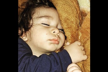 Adrian aeinii 