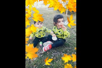 ایینه 