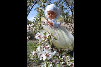 السا  
