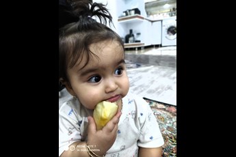 پارلا 