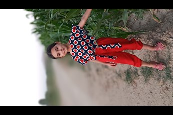 Aylar 