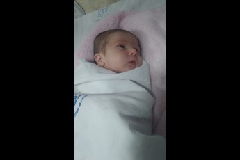 مهرسام  