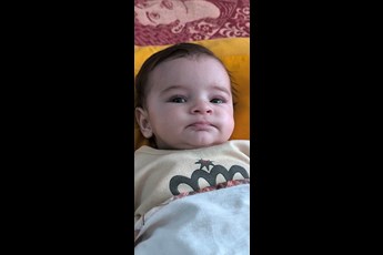 امیر علی 