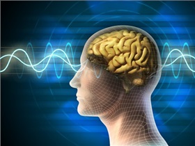 آیا استرس همسر میزان باروری را تحت تاثیر قرار می دهد؟