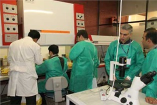 ارائه مارکری جدید برای شناسایی و تخلیص سلولهای بنیادی اسپرماتوگونی