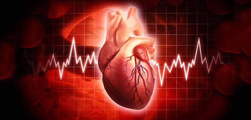 آیا چربی بدن از زنان در مقابل بیماری قلبی محافظت می کند؟