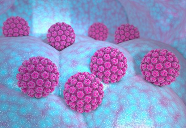 مقابله با ویروس پاپیلومای انسانی یا hpv