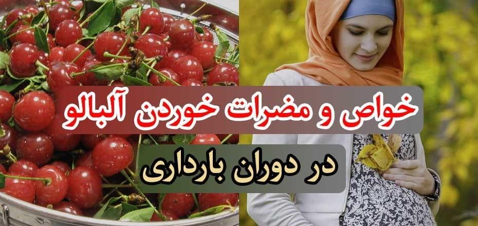 خواص و مضرات خوردن آلبالو در دوران بارداری (چه مقدار آلبالو بخوریم؟)