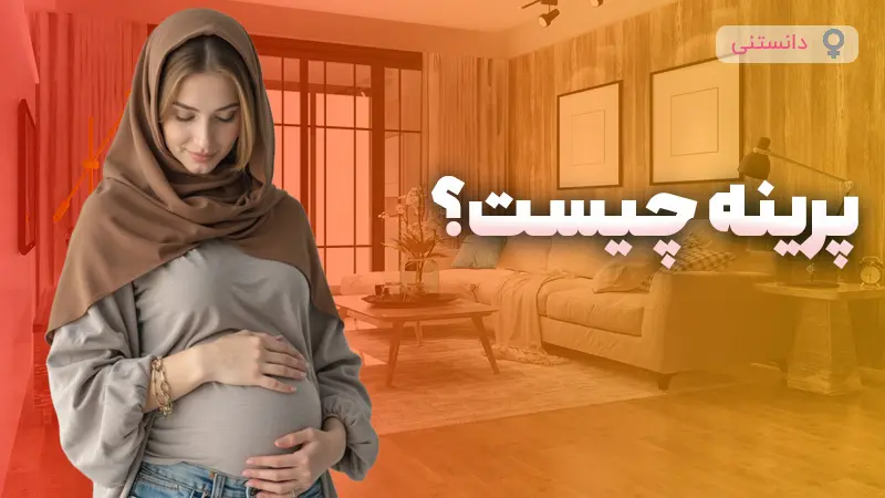 پرینه چیست؟