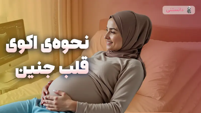 اکوی قلب جنین چجوریه و چه زمانی انجام میشه؟