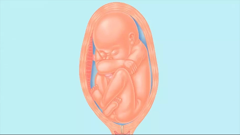 همه چیز درباره بریج بودن جنین