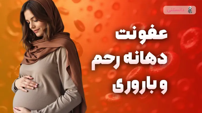 تاثیر عفونت‌های دهانه رحم بر بارداری