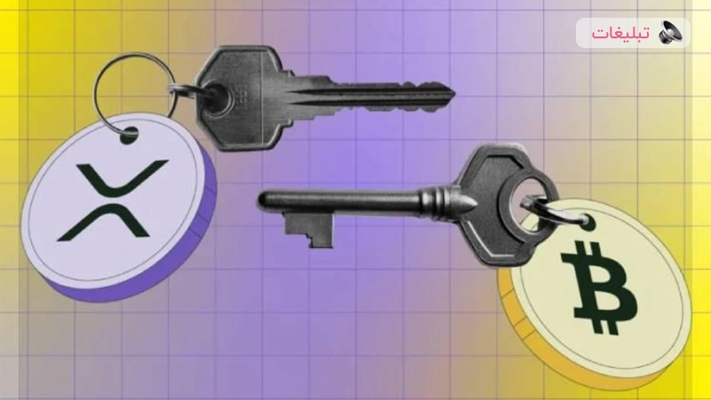 از بیت‌کوین تا ریپل: تحلیل تفاوت‌ها و شباهت‌های بنیادین