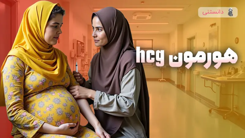 تفسیر  آزمایش هورمون hcg
