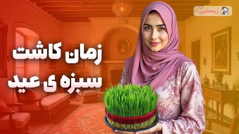 کِی سبزه‌ ی عید بکاریم؟