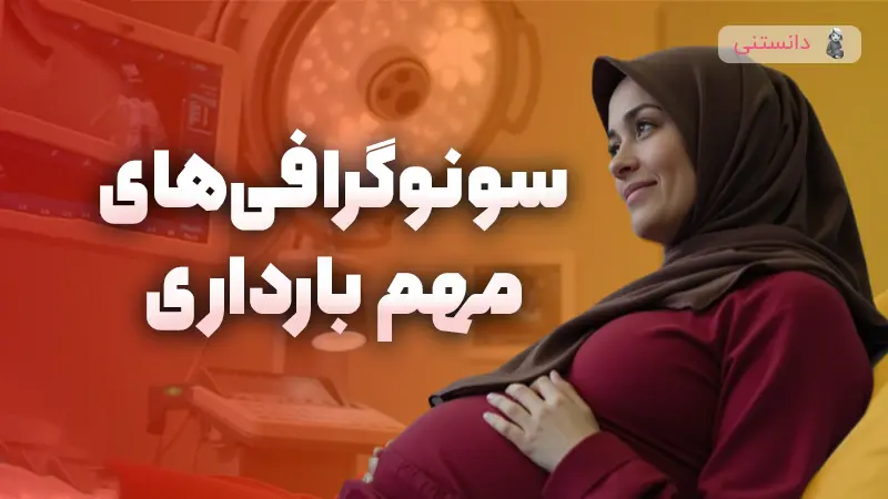 سونوگرافی های مهم بارداری