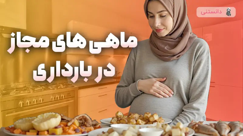 ماهی‌های مجاز در بارداری