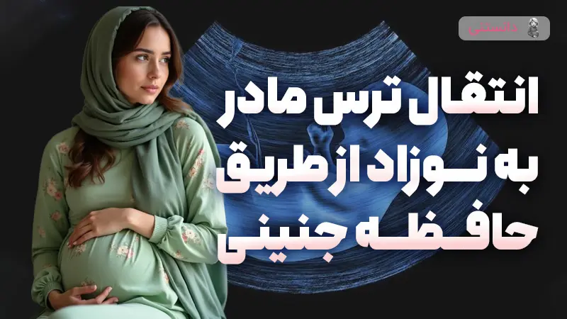 انتقال ترس مادر به نوزاد از طریق حافظه جنینی