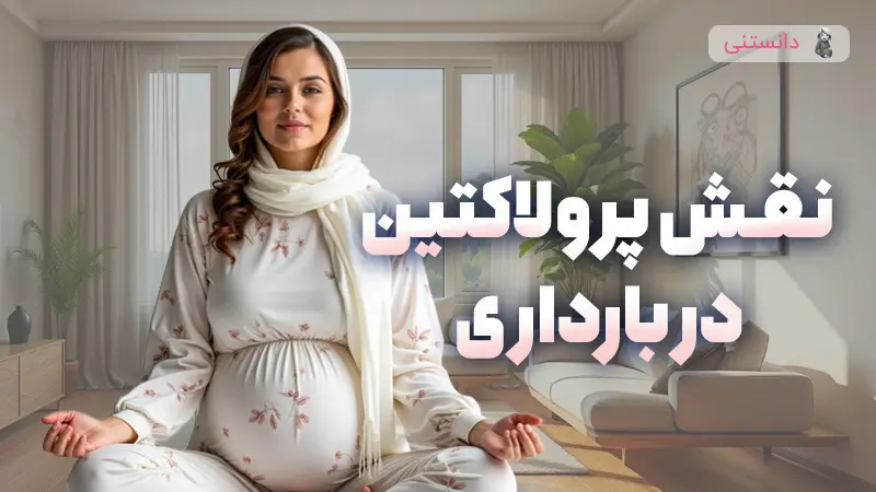 نقش پرولاکتین در بارداری