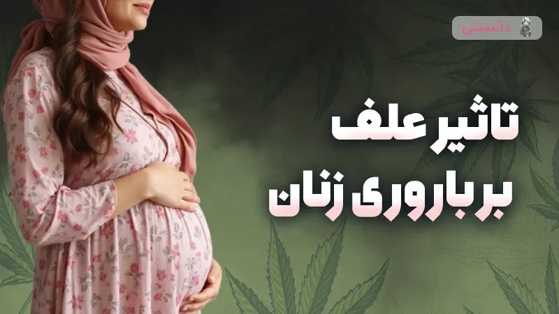 تاثیر علف یا ماریجوآنا بر باروری زنان