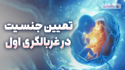 تعیین جنسیت در غربالگری اول