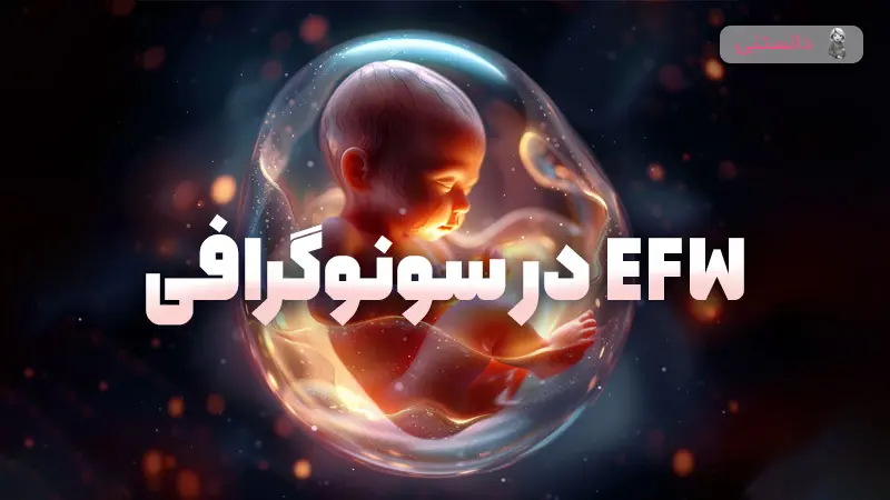 EFW در سونوگرافی یا وزن تخمینی جنین چیست؟