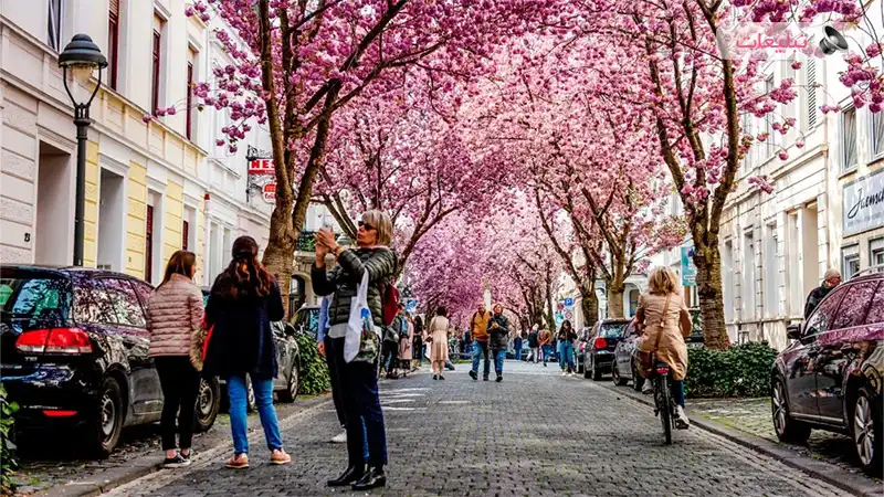زیباترین خیابان‌های جهان در ۲۰۲۵ - خیابان‌هایی که جهان را به تماشا وامیدارند