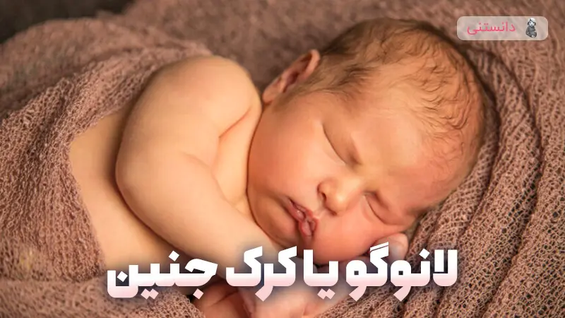 لانوگو چیست و موهای کودک شما در رحم چگونه رشد می‌کنه؟  