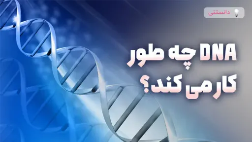 DNA چطور کار میکنه؟ توضیح ساده برای همه سنین
