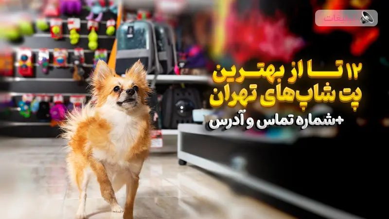 12 تا از بهترین پت شاپ های تهران + شماره تماس و آدرس