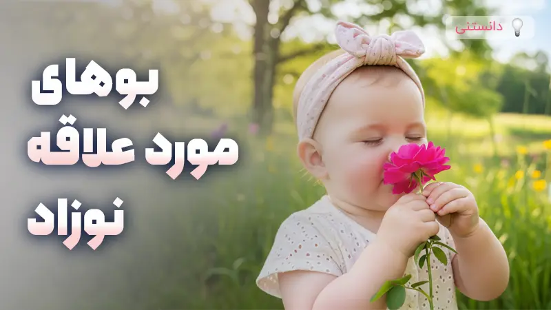 بوهای مورد علاقهی نوزادان