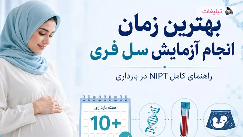 بهترین زمان انجام آزمایش سل فری؛ راهنمای کامل NIPT در بارداری