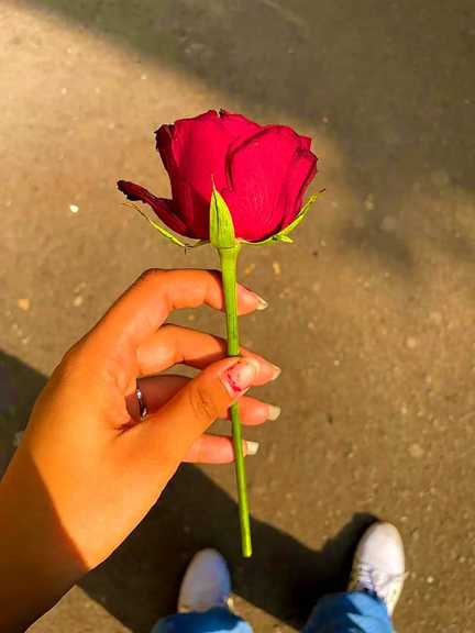 فاطمه۷۴